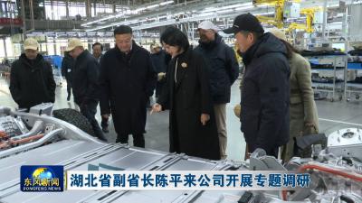 湖北省副省长陈平来公司开展专题调研