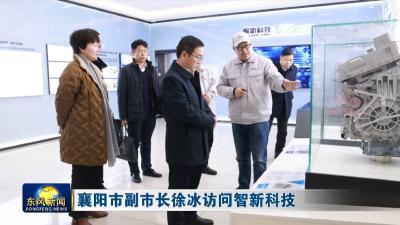 襄阳市副市长徐冰访问智新科技