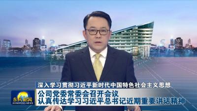 深入学习贯彻习近平新时代中国特色社会主义思想  
公司党委常委会召开会议认真传达学习习近平总书记近期重要讲话精神