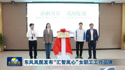 东风岚图发布“汇智岚心”女职工工作品牌