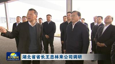 湖北省省长王忠林来公司调研