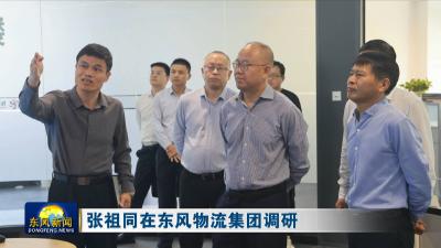 张祖同在东风物流集团调研