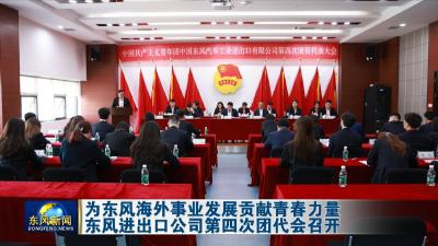 为东风海外事业发展贡献青春力量
东风进出口公司第四次团代会召开