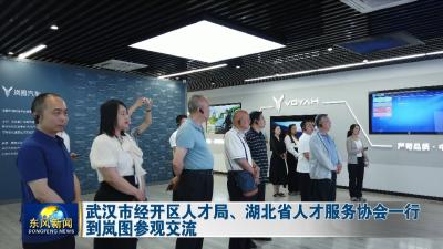 武汉市经开区人才局、湖北省人才服务协会一行到岚图参观交流