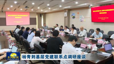 杨青到基层党建联系点调研座谈