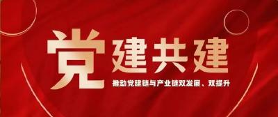 党建强“链”，合力打造发展共赢“聚能环”