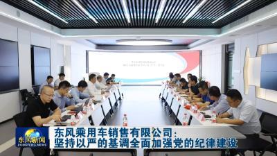 东风乘用车销售有限公司：  坚持以严的基调全面加强党的纪律建设