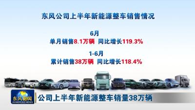 公司上半年新能源整车销量38万辆