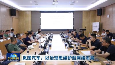 岚图汽车：以治理思维护航网络布局