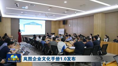 岚图企业文化手册1.0发布