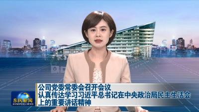 公司党委常委会召开会议 认真传达学习习近平总书记在中央政治局民主生活会上的重要讲话精神