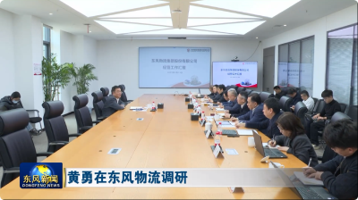 黄勇在东风物流调研