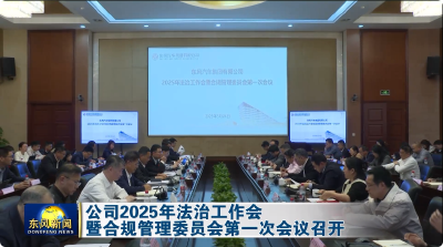 公司2025年法治工作会暨合规管理委员会第一次会议召开