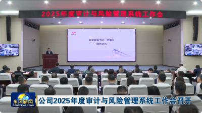 公司2025年度审计与风险管理系统工作会召开
