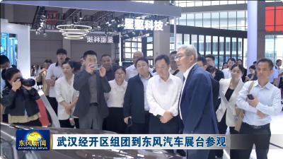 武汉经开区组团到东风汽车展台参观