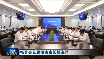 杨青会见襄阳市市长杜海洋