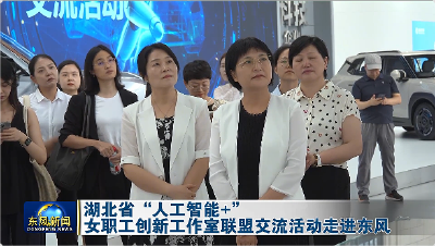 湖北省“人工智能+”女职工创新工作室联盟交流活动走进东风