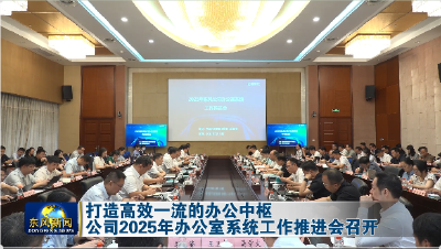 公司 2025 年办公室系统工作推进会召开