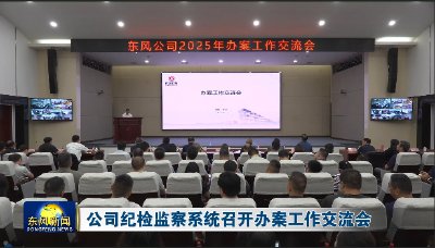 公司纪检监察系统召开办案工作交流会