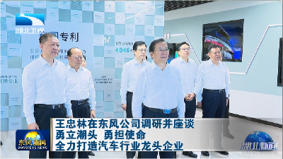 王忠林在东风公司调研并座谈 