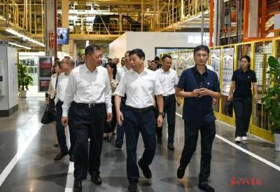 湖北省政协副主席张维国调研东风岚图