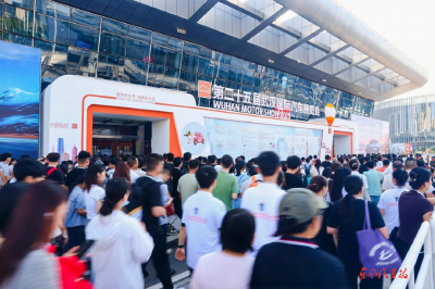拼营销 武汉车展收获丰
