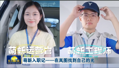 萌新入职季——在岚图找到自己的光