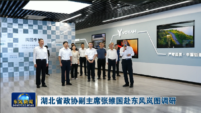 湖北省政协副主席张维国赴东风岚图调研