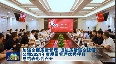 公司2024年度质量管理优秀项目总结表彰会召开