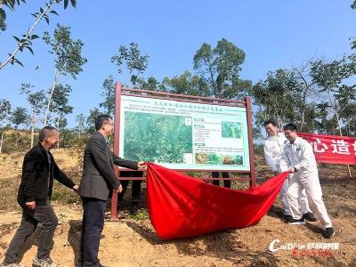 东风本田·蔡甸区碳中和林项目落地
