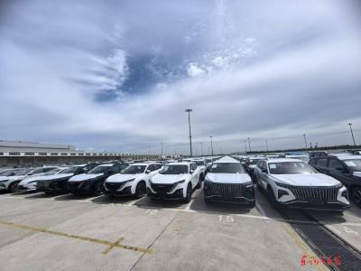 奕派科技千辆整车紧急发运东欧