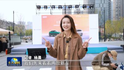 东风奕派双车武汉上市发布