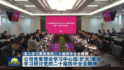 深入学习贯彻党的二十届四中全会精神公司党委理论学习中心组（扩大）集体学习研讨党的二十届四中全会精神