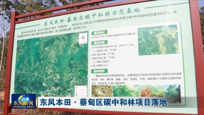 东风本田•蔡甸区碳中和林项目落地