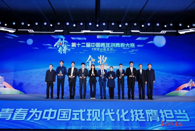 东风青年获中国青年创青春大赛金奖
