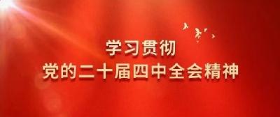 东风商用车党委开展党的二十届四中全会精神集中学习研讨