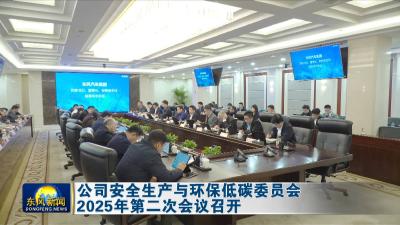 公司安全生产与环保低碳委员会2025年第二次会议召开