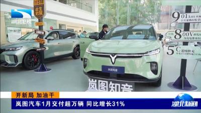 开新局 加油干 
岚图汽车1月交付超万辆 同比增长31%
