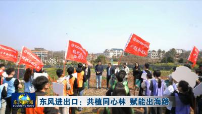东风进出口：共植同心林 赋能出海路