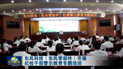 东风科技（东风零部件）开展纪检干部警示教育专题培训
