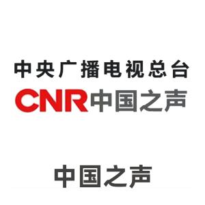 测试