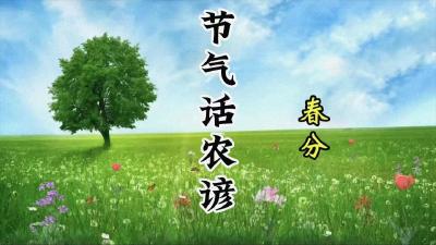 节气话农谚-春分