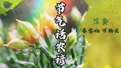 节气话农谚-惊蛰