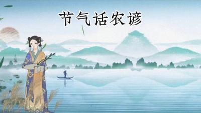 节气话农谚-谷雨