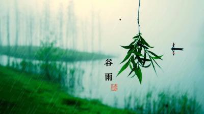 谷雨