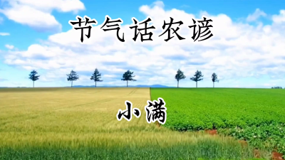 节气话农谚-小满