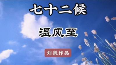 小暑初候-温风至