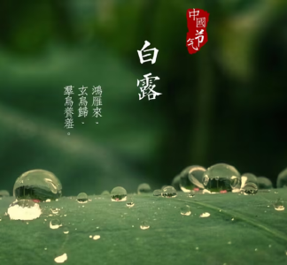 20240907二十四节气生活美学 _ 白露.mp3