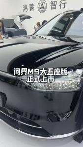 问界M9大五座版正式上市@董涛说车