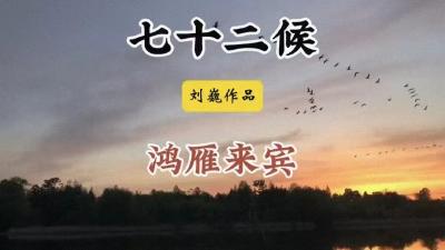 寒露初候-鸿雁来宾